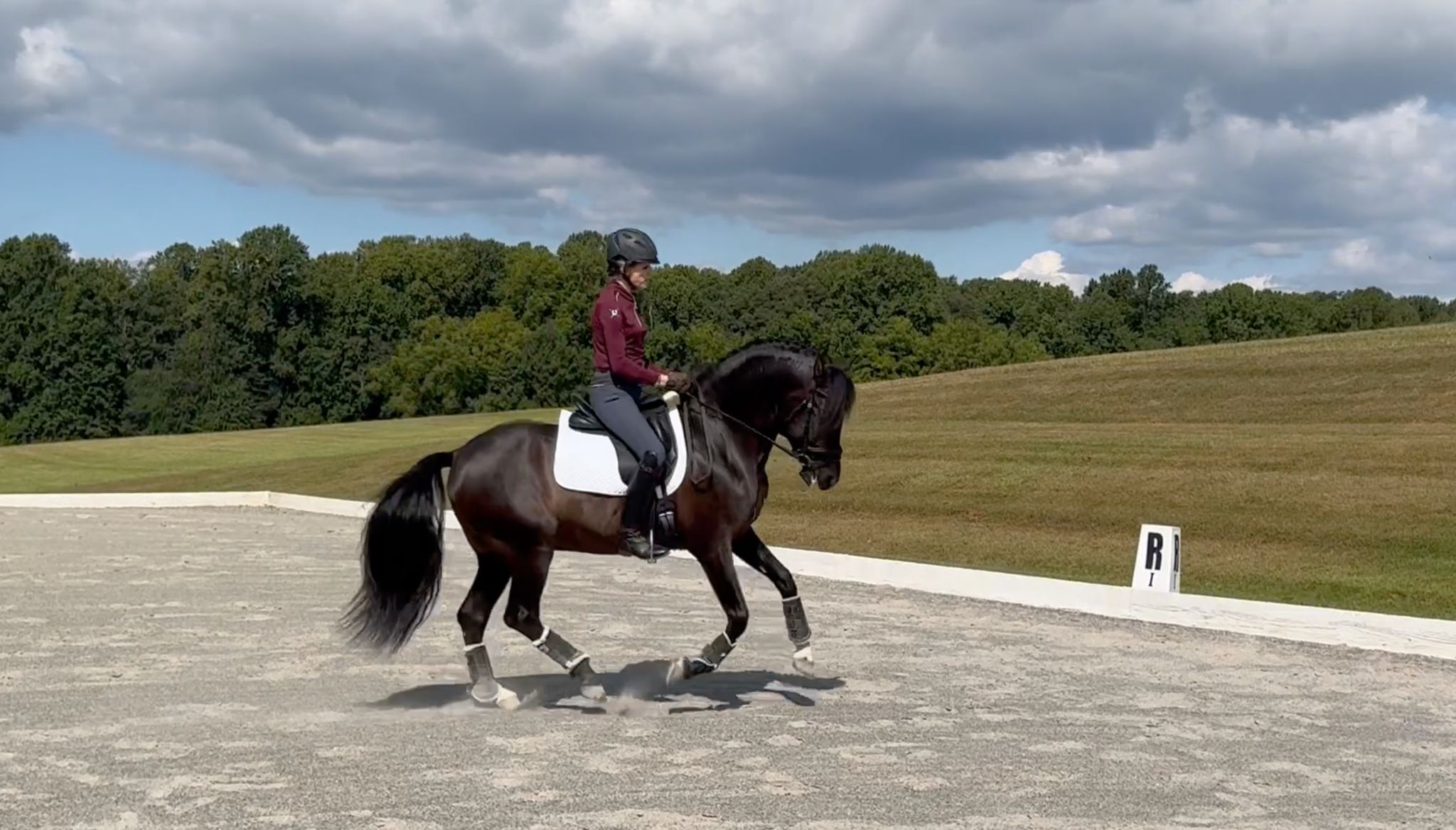 Mastering the First Level Counter Canter Loop